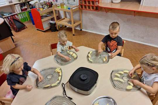 Třída Želviček - Sušení šípků na čaj 1