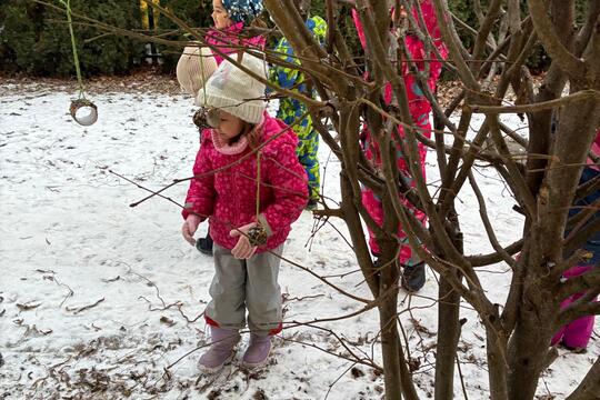 Pomáháme ptáčků přečkat zimu 1