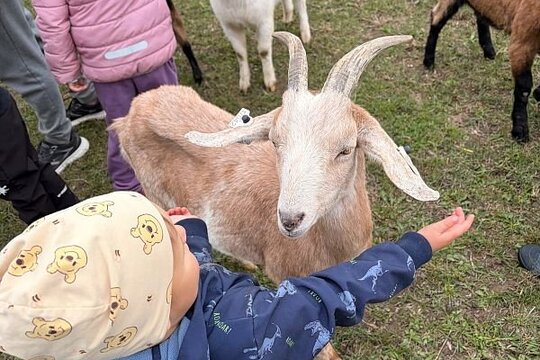 Návštěva farmy ve Chmelíku. Návštěva farmy ve Chmelíku. 1