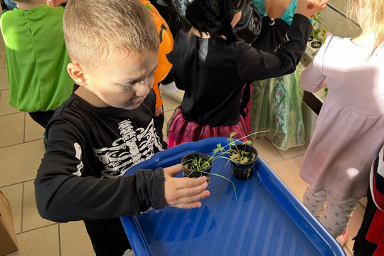 Péče o bylinky z hydroponické zahrádky Péče o bylinky z hydroponické zahrádky 1