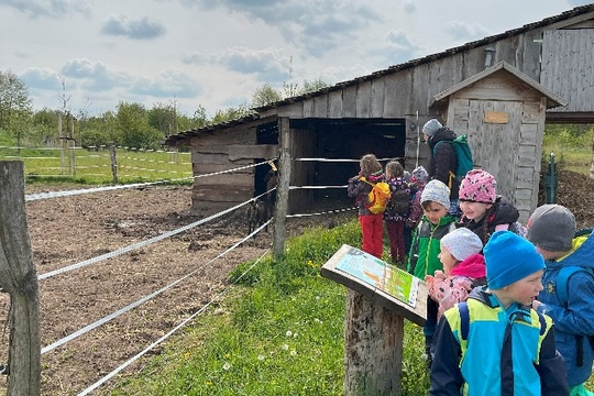 Výlety za domácími zvířátky a přírodou 1