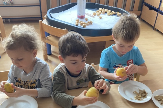 Brambory - Berušky 1