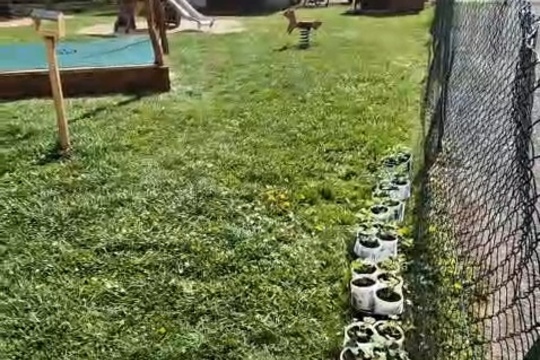 Cesta k jedlé zahradě. Cesta k jedlé zahradě. 1