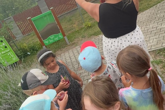Online letní limonáda  1
