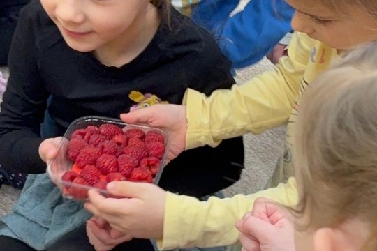 Ovoce a naše smysly  1