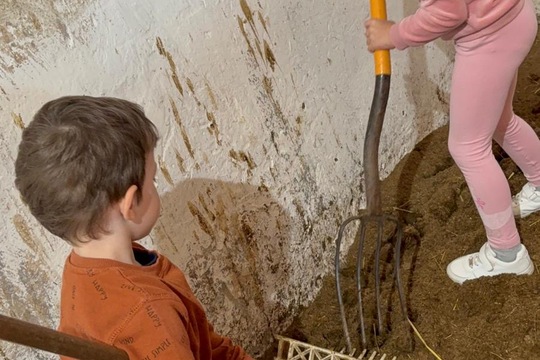 Koně a my  1