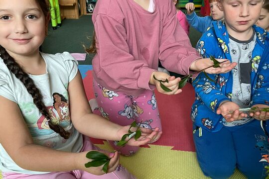 Naše housenky - budeme mít motýlky 1