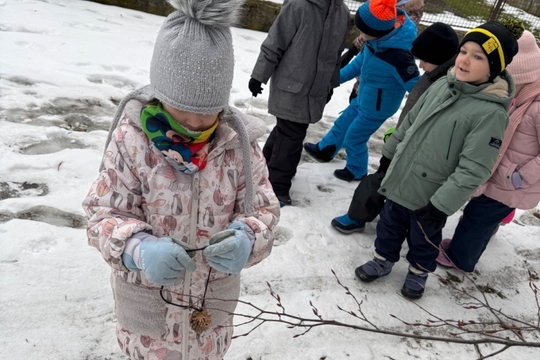 Berušky a Motýlci z MŠ Kollárova - Krmítka pro ptáčky 1