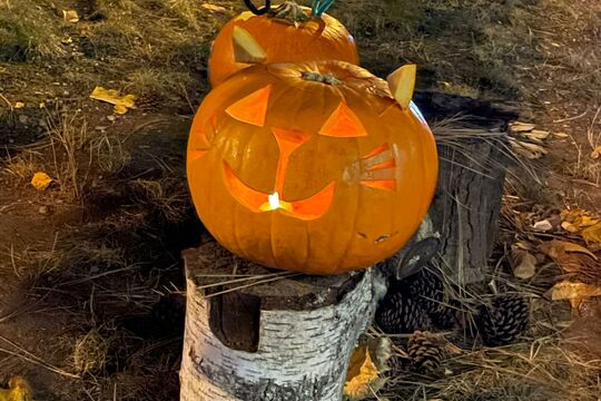 Den školní jídelny aneb Dýňohrátky ve Věkoších 2 1