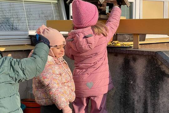 Krmení pro ptáčky z jablíček 1