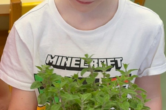 Bylinky a rajčátka od kamarádů Bylinky a rajčátka od kamarádů 1