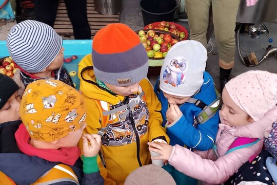 Jak se dělá mošt? Jak se dělá mošt? 1