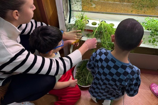 Třída Veverky - Kopr z hydroponické zahrádky 1