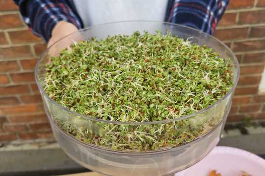 Cesta za tajemstvím babiččiny kuchyně: JARO a SÍLA probouzející se přírody 1