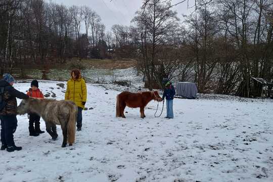 Návštěva poníků v Lísce Návštěva poníků v Lísce 1