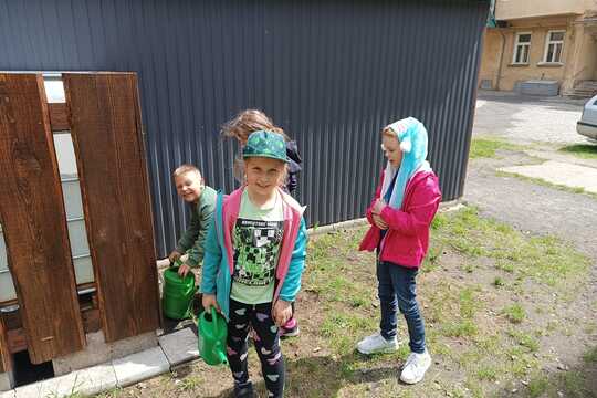 Sela se mrkev a ředkvičky 1