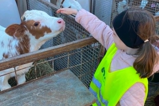Návštěva farma Drozdových v Kravsku Návštěva farma Drozdových v Kravsku 1