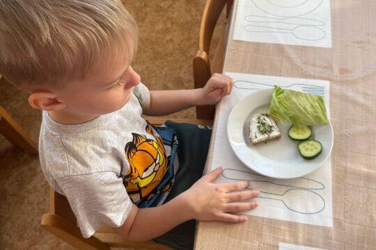 Pěstujeme microgreens - Sovičky 1