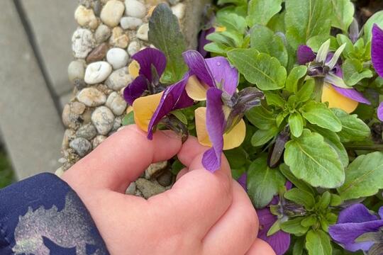 Ke svačině jaro  1