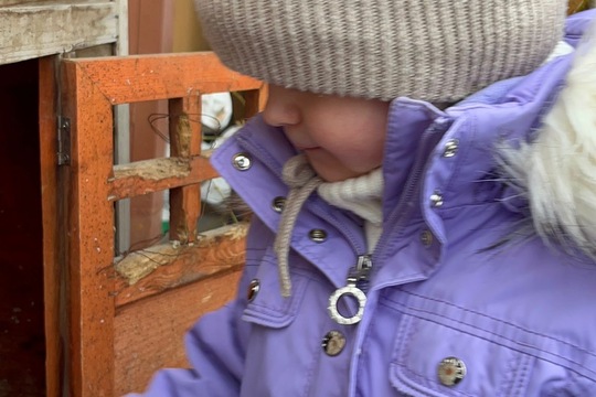 Naše zvířata - naše starost  1