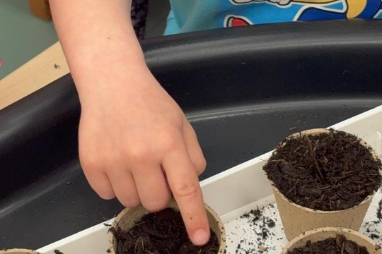 Bylinky a rajčátka od kamarádů Bylinky a rajčátka od kamarádů 1