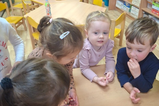 Medvídci z MŠ Soběchleby - Křížaly z místních jablíček 1
