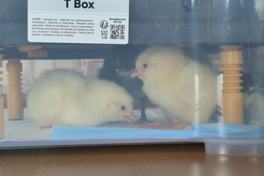 Co je u nás nového? 1