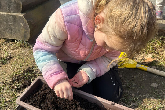 Jak si kdo zasadí, tak si taky sní  1