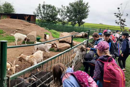 Na farmě 1
