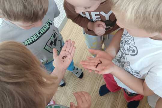 Vermikompostér Vermikompostér 1