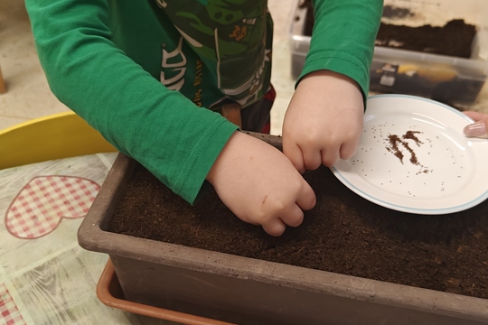 Bylinková radost v naší školce 1