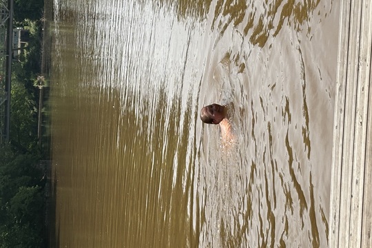 Mezinárodní den pikniku s přáteli  1