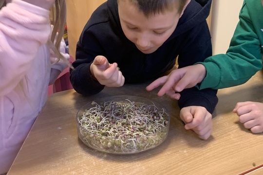 Malí pěstitelé v akci 1