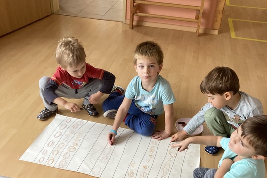 Brambory - Berušky 1