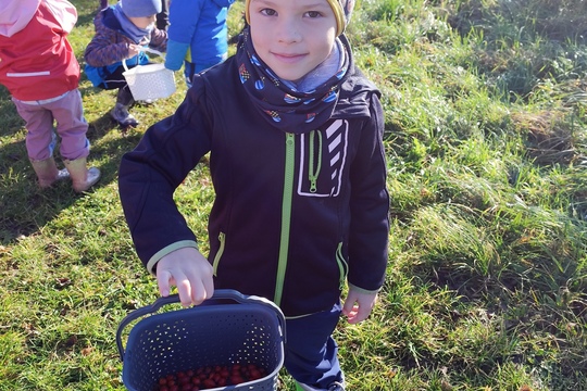 Sběrači šípků Sběrači šípků 1