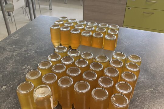 Pampeliškový sirup 1