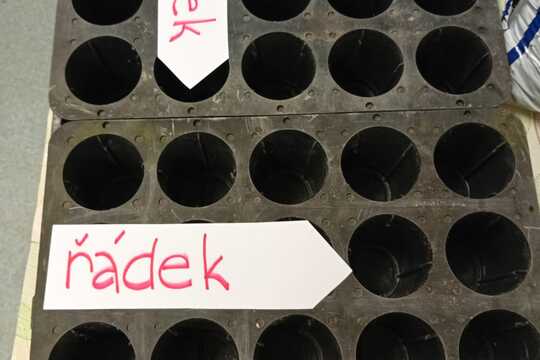 „Matematika naruby aneb pěstujeme v souřadnicích“ 1