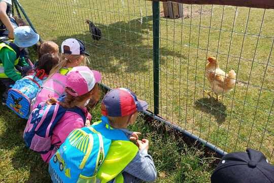 Výlet za zvířátky - Zoopark Zelčín 1
