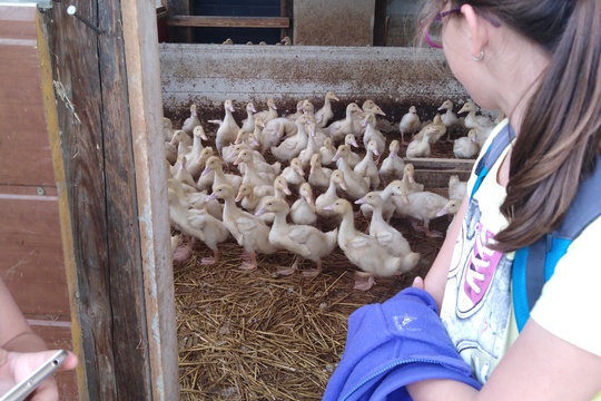 Den dětí ze ZŠ Slovan Kroměříž na farmě 1