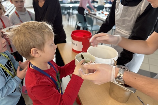 Audit plýtvání jídlem: učíme se jíst s respektem 1