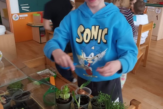 Pokusy s cibulí a salátem 1