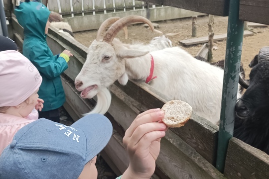 Farma s domácími zvířaty – Duběnka 1