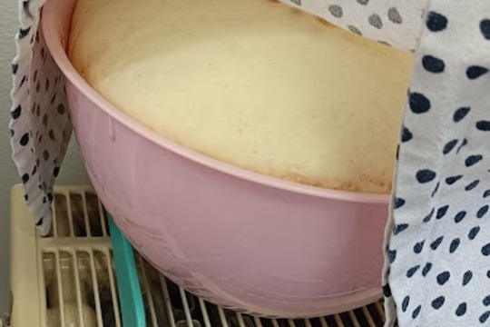 Velikonoční čas v BARVÁCH 1