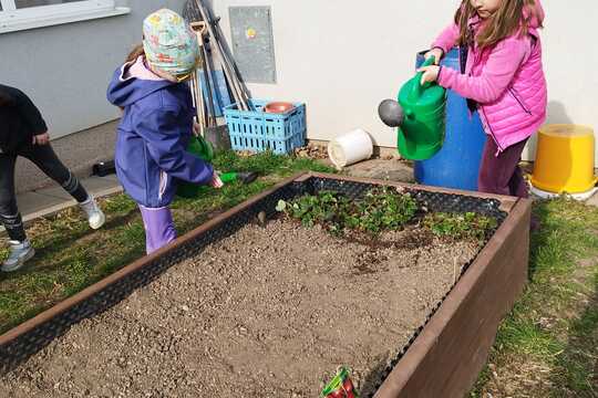 Probouzení záhonků  1