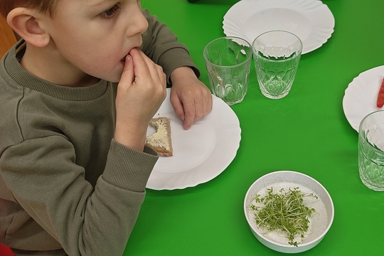 Bylinková radost v naší školce 1