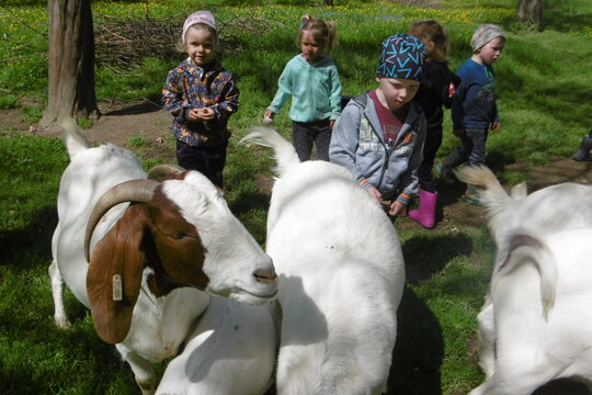 Na malinké rodinné farmě 1