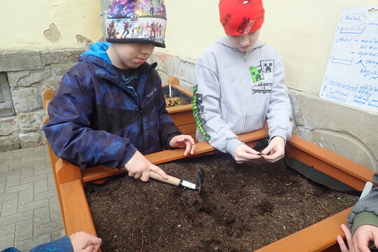 Jarní práce na vyvýšených záhonech  1