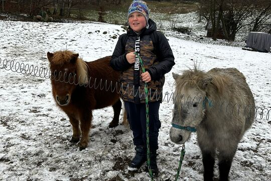 Návštěva poníků v Lísce Návštěva poníků v Lísce 1