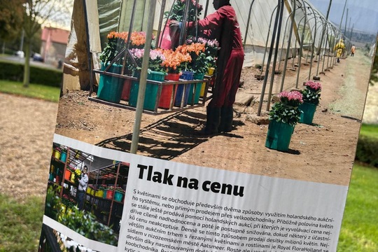 Rovnost a práce  1