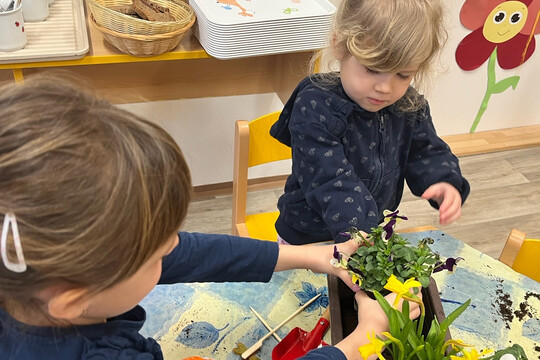 Kytičky z MŠ Kollárova - Jarní květiny 1